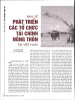Bàn về phát triển các tổ chức tài chính nông thôn tại việt nam 