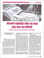 Bảo lãnh doanh nghiệp nhỏ và vừa vay vốn tại NHTM những tồn tại, nguyên nhân và giải pháp 