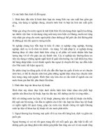 Có sáu hình thức kinh tế đối ngoại