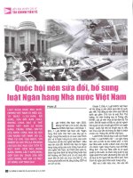 bổ sung luật ngân hàng nhà nước việt nam 