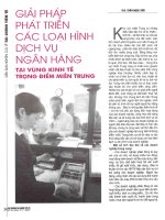 Giải pháp phát triển các loại hình dịch vụ ngân hàng tại vùng kinh tế trọng điểm miền trung 