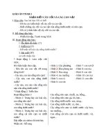 Giáo án TNXH 2 bài nhận biết cây cối và các con vật (3) 