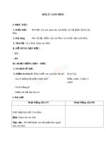 Giáo án TNXH 1 bài con mèo (2) 