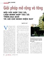 Giải pháp mở rộng và tăng trưởng tín dụng đối với hợp tác xã, liên minh hợp tác xã trên địa bàn tp  hồ chí minh hiện nay 