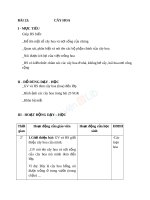 Giáo án TNXH 1 bài cây hoa (2) 