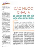 Các nước châu á và con đường đến với một đồng tiền chung 