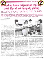 Giải pháp hoàn thiện phân loại nợ, trích lập và sử dụng dự phòng trong hoạt động tín dụng 