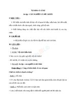 Giáo án TNXH 1 bài ôn tập con người và sức khỏe (2) 