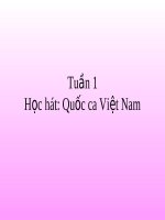 Bài giảng bài học hát quốc ca việt nam âm nhạc 3 (4) 
