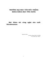 Khảo sát công nghệ sản xuất nitrobenzene