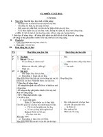 Giáo án TNXH 1 bài cây hoa (5) 