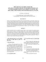 Phân tích sự tác động tương hỗ giữa đất và tường cọc bản ngàm trong nền đất cát 