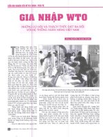 Gia nhập WTO những cơ hội và thách thức đặt ra đối với hệ thống ngân hàng VN 