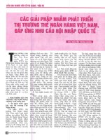 Các giải pháp nhằm phát triển thị trường thẻ ngân hàng việt nam, đáp ứng nhu cầu hội nhập quốc tế 