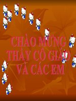 Sinh học 10   bài 45  virut gây bệnh, ứng dụng của virut