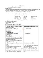 Giáo án khoa học 4 bài trao đổi chất ở người (4) 