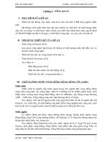 Thiết kế hệ thống cấp nước sinh hoạt cho thị trấn 3 000 dân