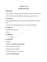 Giáo án TNXH 3 bài họ nội họ ngoại (5) 