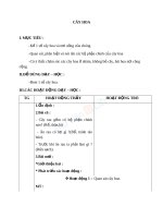 Giáo án TNXH 1 bài cây hoa 