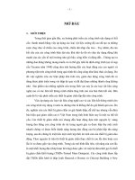 Phân tích hoạt động và ứng dụng bộ giảm chấn TLCDs trong việc giảm chấn cho tháp