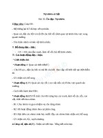 Giáo án TNXH 1 bài ôn tập tự nhiên (2) 