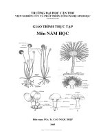Giáo trình thực tập nấm học