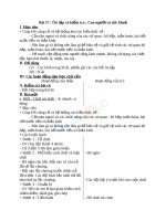 Giáo án TNXH 3 bài ôn tập con người và sức khỏe 