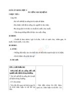 Giáo án khoa học 4 bài ăn uống khi bị bệnh (2) 