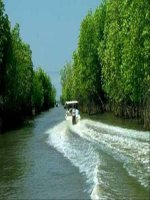 Bài giảng ngữ văn lớp 6 tham khảo sông nước cà mau (10) 