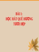 Bài giảng bài học hát quê hương tươi đẹp âm nhạc 1 (3) 