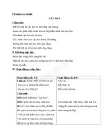 Giáo án TNXH 1 bài cây hoa (6) 