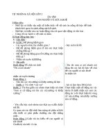 Giáo án TNXH 2 bài đề phòng bệnh giun (7) 