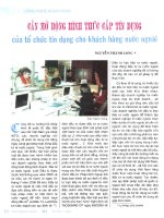 Cần mở rộng hình thức cấp tín dụng của tổ chức tín dụng cho khách hàng nước ngoài 