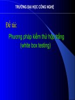 Phương pháp kiểm thử hộp trắng (white box testing)