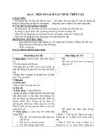 Giáo án TNXH 2 bài một số loài vật sống trên cạn (6) 