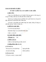 Giáo án TNXH 3 bài ôn tập con người và sức khỏe (5) 