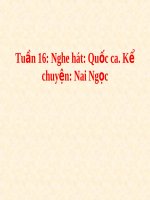 Bài giảng bài nghe hát quốc ca  kể chuyện nai ngọc âm nhạc 1 (5) 