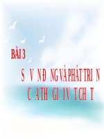Bài giảng bài sự vận động và phát triển của thế giới vật chất GDCD 10 (3) 