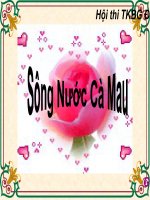 Bài giảng ngữ văn lớp 6 tham khảo sông nước cà mau (12) 