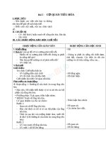 Giáo án TNXH 2 bài cơ quan tiêu hóa (4) 