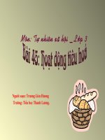 Bài giảng tự nhiên xã hội lớp 3