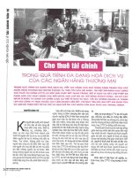 Cho thuê tài chính trong quá trình đa dạng hóa dịch vụ của các NHTM 