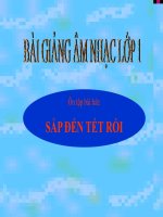 Bài giảng bài ôn tập hát đàn gà con  sắp đến tết rồi âm nhạc 1 (5) 