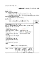 Giáo án TNXH 2 bài nhận biết cây cối và các con vật (2) 