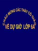 Bài giảng ngữ văn lớp 6 tham khảo sông nước cà mau (14) 