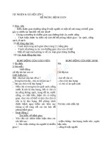 Giáo án TNXH 2 bài đề phòng bệnh giun (5) 