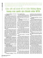 Các chỉ số kinh tế cơ bản thông dụng trong các quốc gia thành viên WTO 