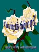 Bài giảng toán 3 thao giảng bài xem đồng hồ (5) 