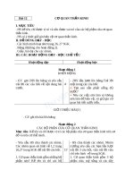 Giáo án TNXH 3 bài cơ quan thần kinh 