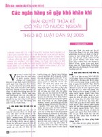 Các ngân hàng sẽ gặp khó khăn khi giải quyết thừa kế có yếu tố nước ngoài theo bộ luật dân sự năm 2005 